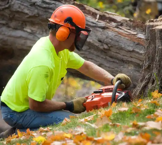 tree services Scaggsville